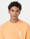 DICKIES - Creswell Short Sleeve T-Shirt - Papaya Smoothie