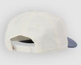 DICKIES - LATTY DAD - Egret