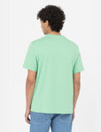 DICKIES - Mapleton Short Sleeve T-Shirt - Apple