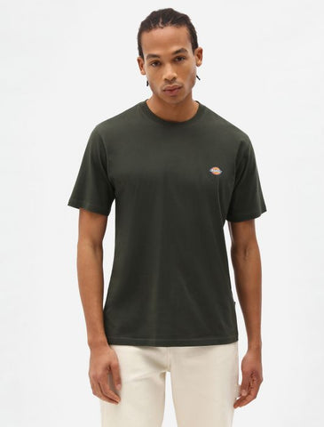 DICKIES - Mapleton Short Sleeve T-Shirt - Olive Green