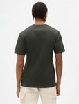 DICKIES - Mapleton Short Sleeve T-Shirt - Olive Green