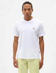 DICKIES - Mapleton Short Sleeve T-Shirt - White