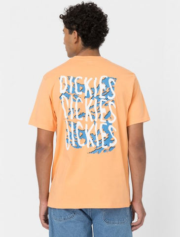 DICKIES - Creswell Short Sleeve T-Shirt - Papaya Smoothie
