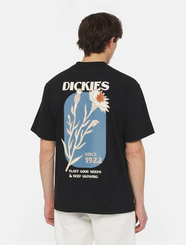 DICKIES - Herndon Short Sleeve T-Shirt - BLACK