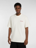 DICKIES - FAIRLAWN MIDWEIGHT T-SHIRT - Egret