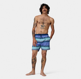 SANTA CRUZ - HEIGHTS SWIMSHORTS