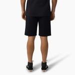 Dickies - Mapleton Shorts - Black