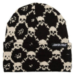 SANTA CRUZ Meyer Freestyle Beanie - Chalk/Black