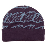 SANTA CRUZ Creep Repeat Beanie - Blackcurrant